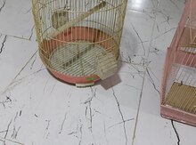 Qəfəs