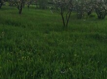 5 sot torpaq sahəsi, Qusar r.