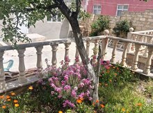 Həyət evi, Sumqayıt ş.