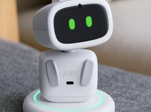 Aibi Pocket Pet