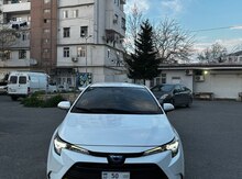 Toyota Corolla, 2023 il
