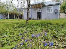 Bağ evi kirayə verilir, Qəbələ ş.