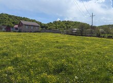 6 sot torpaq sahəsi, Qusar r.