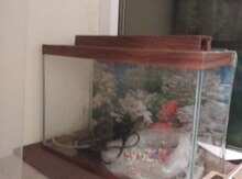 Akvarium