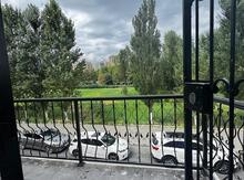 Ofis icarəyə verilir, 28 May m.