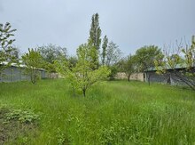 Bağ evi, Qusar r.