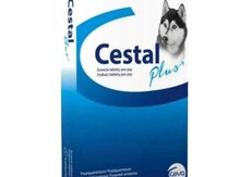 Cestal plus