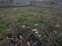 10 sot torpaq sahəsi, Hökməli qəs