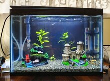 Akvarium