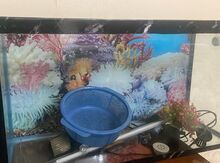 Akvarium 