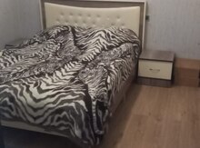 2-otaqlı mənzil kirayə verilir, Gənclik m., 50 m²