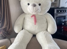 Oyuncaq ayı Teddy