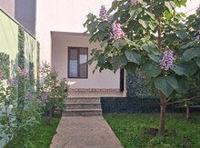 Bağ evi kirayə verilir, Quba r.
