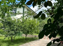 Həyət evi kirayə verilir, Oğuz r.