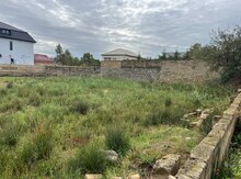 12 sot torpaq sahəsi, Corat bağları