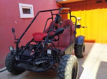 Buggy 150cc, 2020 il