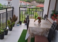 Həyət evi kirayə verilir, Laçın ş.