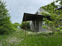 Həyət evi, Balaqusar kəndi