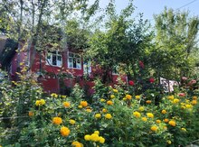 Bağ evi kirayə verilir, Qəbələ r.