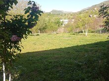 10 sot torpaq sahəsi, Şamaxı r.