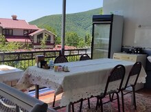 Həyət evi kirayə verilir, Şəki ş.