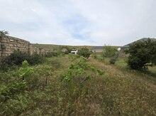 2 sot torpaq sahəsi, Saray qəs.