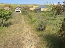 2 sot torpaq sahəsi, Saray qəs.