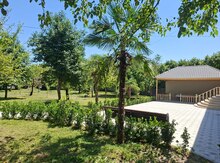 Bağ evi kirayə verilir, İsmayıllı r.