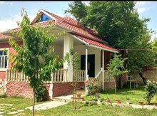 Həyət evi kirayə verilir, Qəbələ ş.