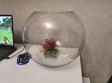 Akvarium