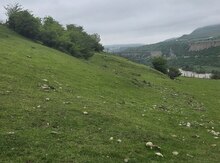 Земельный участок 60 сот, Гусарский р.