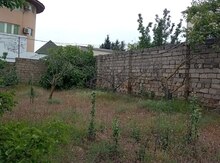 4 sot torpaq sahəsi, Novxanı qəs.
