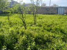 10 sot torpaq sahəsi, Qax r.