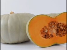 Balqabaq