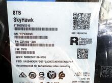 Seagate SkyHawk 8TB HDD