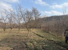 8 sot torpaq sahəsi, Quba r.