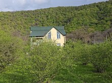 4 sot torpaq sahəsi, Zaqatala r.