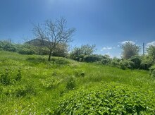 4 sot torpaq sahəsi, Qusar r.
