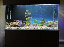 Akvarium