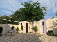 Həyət evi kirayə verilir, Gəncə ş.