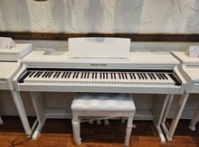 Pearl River v-03 PRO