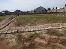 2.5 sot torpaq sahəsi, Binə qəs.