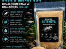 Artemiya "Decapsul"