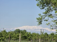 18 sot torpaq sahəsi, Xaçmaz r.
