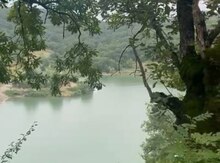 230 sot torpaq sahəsi, Quba r.