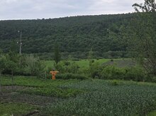 12 sot torpaq sahəsi, Qusar r.