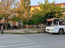 Həyət evi kirayə verilir, Buzovna qəs.