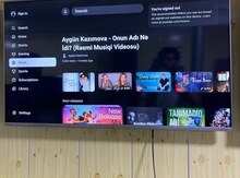 Televizor TAUBE 109 smart