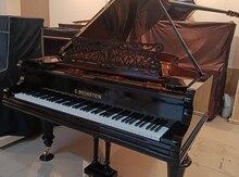 Royal piano - C. Bechstein