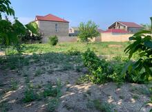 12 sot torpaq sahəsi, Corat bağları